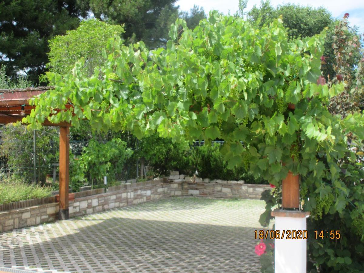 b&b Capo Le Vigne Sirolo Extérieur photo