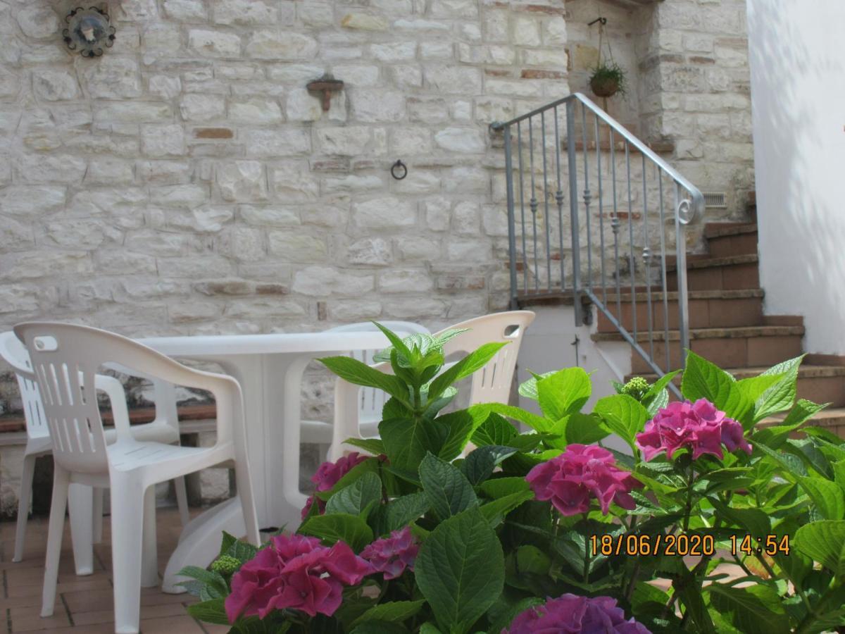 b&b Capo Le Vigne Sirolo Extérieur photo